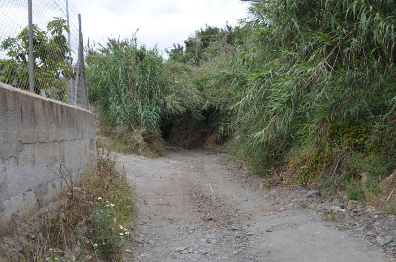 Casa Rural En Almayate Bajo Kültér fotó